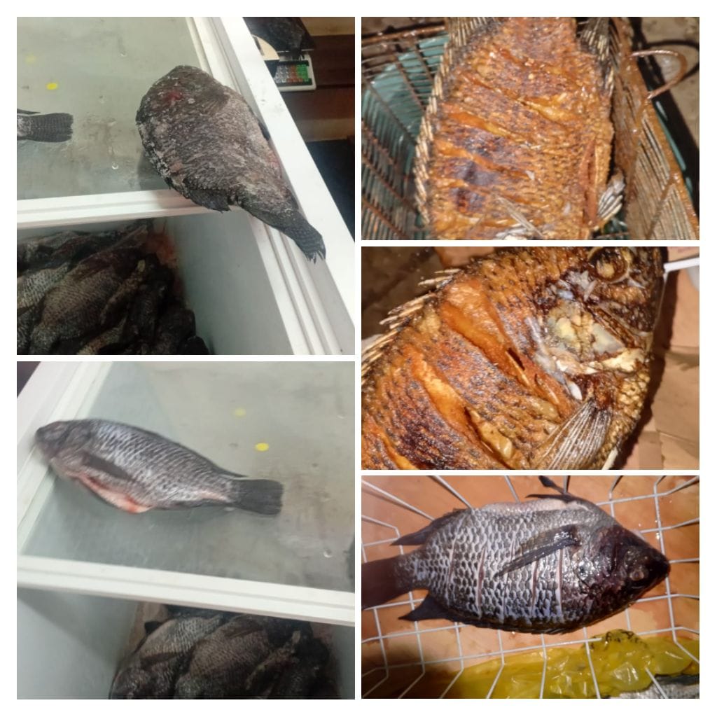 Fresh fish products
